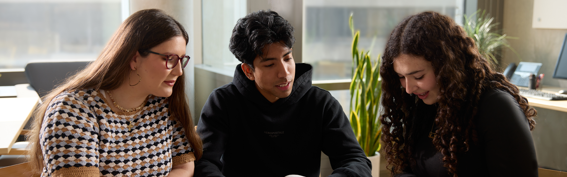 Students studying together